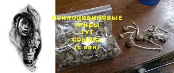 мет Осташков