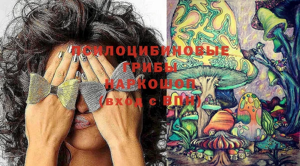 бутират Алексин