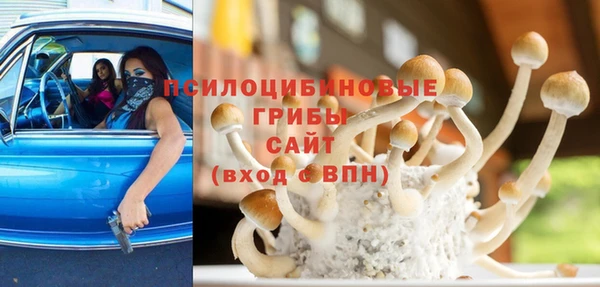 бутират Алексин