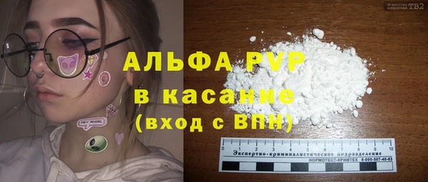 spice Гвардейск