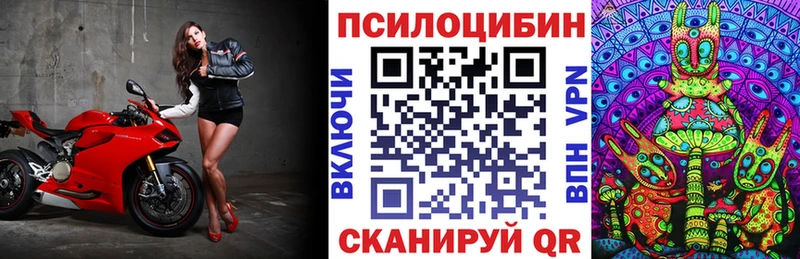 мега маркетплейс Славск Галлюциногенные грибы мицелий где купить наркоту