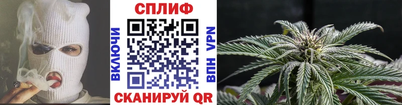 Конопля VHQ  Славск 