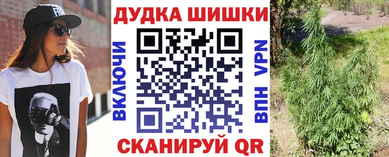 Бошки Шишки конопля Славск
